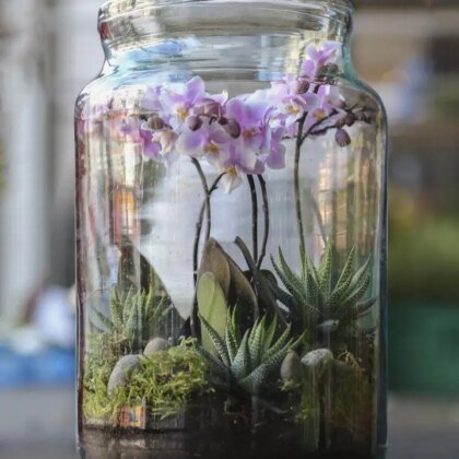 Terrarium Workshop